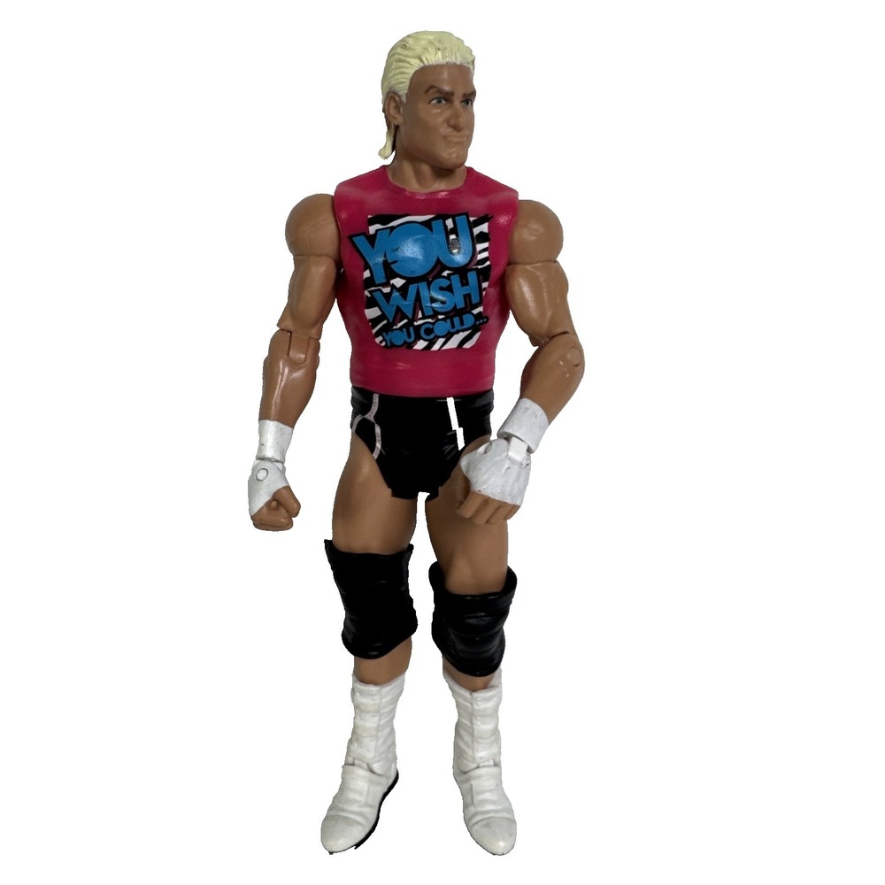 WWE WWF Dolph Ziggler‎ 2011 Mattel 7" Wrestling Action Figure Read